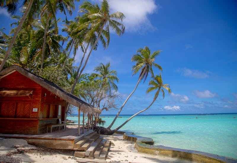 Un bungalow de location, sur la plage, entouré de palmiers.