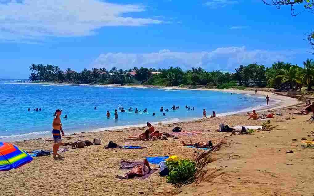 La plage des raisins clairs à Saint-François en Guadeloupe.