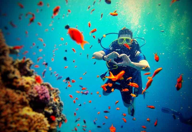 Un homme tout équipé, nage en profondeur avec des petits poissons divers.